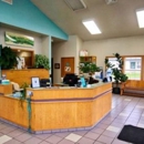 Buckley Veterinary Hospital - Veterinary Clinics & Hospitals