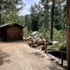 Twain Harte Tree Service gallery