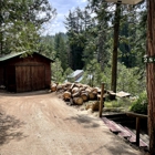 Twain Harte Tree Service