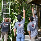 Cox Arboriculture Services