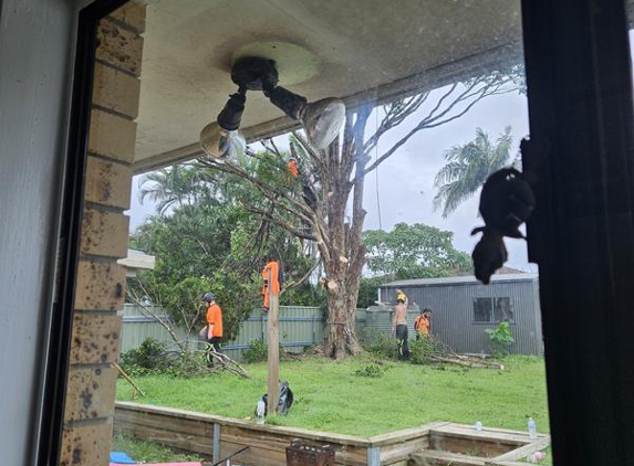 Acclaim Tree Care & Services - Wacol, QLD