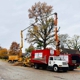 We Care Tree Service