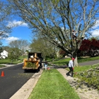 Taperia Tree Service