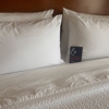 Holiday Inn Express & Suites Vernal - Dinosaurland by IHG gallery