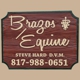 Brazos Equine Services