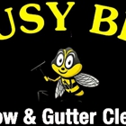 Busy Bee Window & Gutter Cleaning