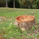 Alaska Hydro Ax Land Clearing