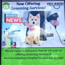 Reunion/Byrdie Dog & Cat Grooming - Pet Grooming