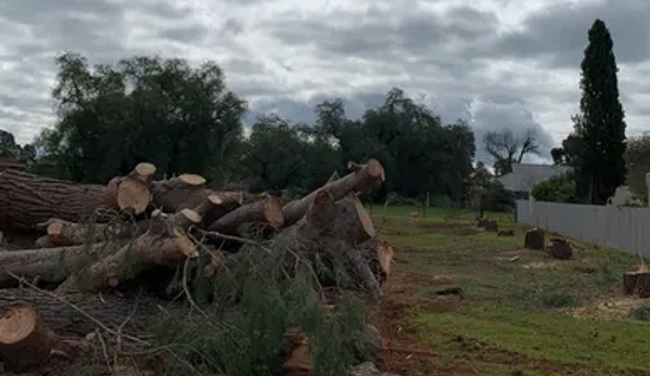 Federation Tree Care - Corowa, NSW