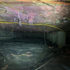 James River Pest Solutions