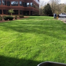 All Turf - Main Office - Landscaping & Lawn Services