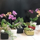 Floral Creations - Florists