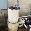 Blue Max Pool Service gallery