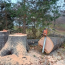 A J Tree Services - Stump Removal & Grinding