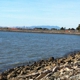 San Leandro Dog Park