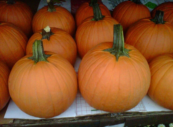 Verni's Garden Center - East Elmhurst, NY