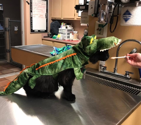 Downtown Veterinarian - Indianapolis, IN