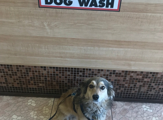 Darla's Dog Wash - Los Angeles, CA