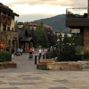 Vail Brewing Company - Beer & Ale