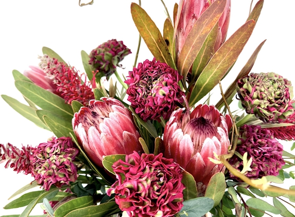 Artichokes & Pomegranates - Santa Fe, NM