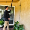 Gingerly Pest Control gallery