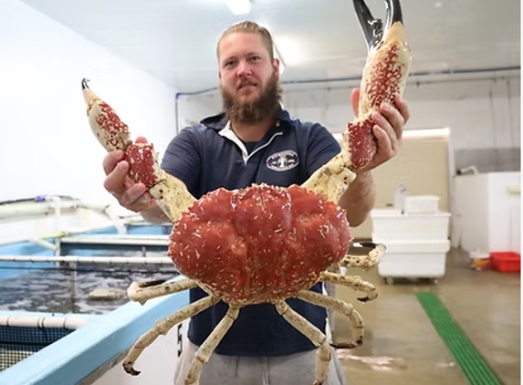 Lower Yorke Seafood - Warooka, SA