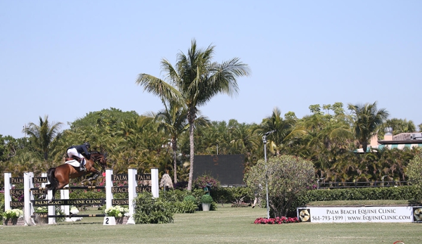 Palm Beach Equine Clinic - Wellington, FL