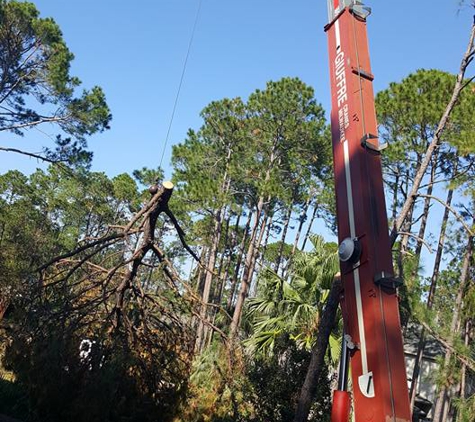 Garrison Mckinney tree and bridge services - Tupelo, MS