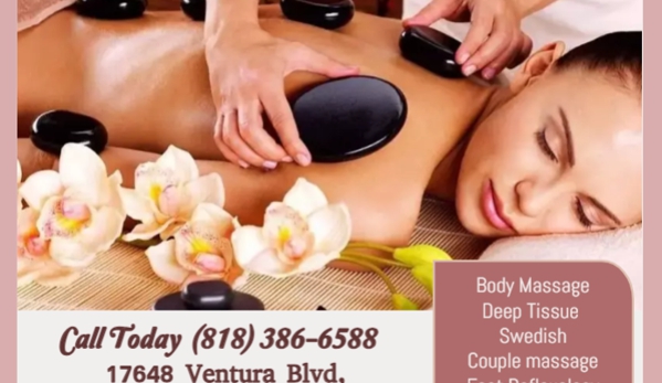 D M Massage - Encino, CA