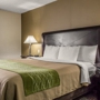 Comfort Inn Medford-Long Island