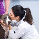 Rea Rd Animal Hospital - Veterinary Clinics & Hospitals