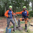 Walnut Tree Service - Crane Service