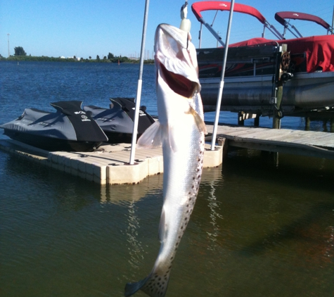 Surf and Ski Watersports - Merritt Island, FL