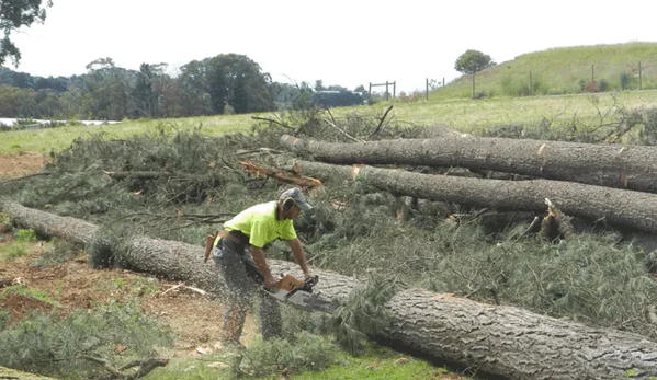 Woodstock Tree and Stump Removal - Coldstream, VIC