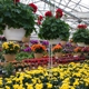 Chuck Hafner's Farmers Market & Garden Center