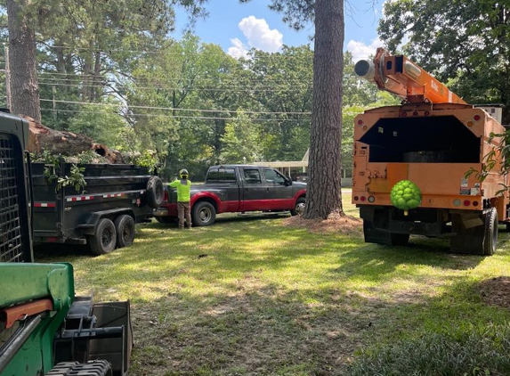 Winter Tree Service