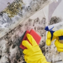 PuroClean Certified Restoration Specialists - Fire & Water Damage Restoration