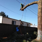 Primetime Pruning