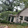 Morton's Tree Care gallery