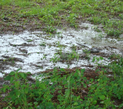 Heidelberg Township Building - Spring Grove, PA. Water running over septic  mound into my hose