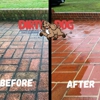 Dirty Dog Carpet, Surface and Duct Cleaning gallery