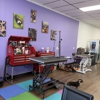 K9 Fine Design Pet Salon gallery