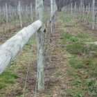 Turkey Point Vineyard