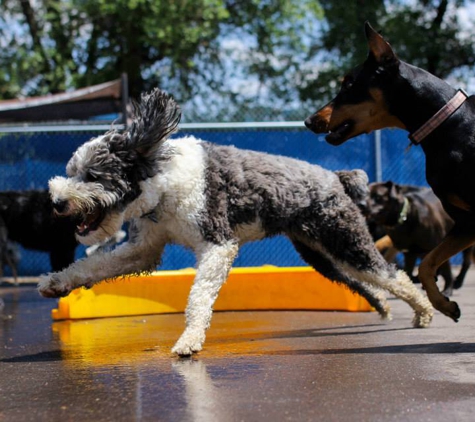 Lucky Dog Boarding, Daycare & Training - Colorado Springs, CO