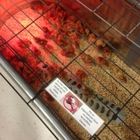 DO IT BEST - Wilco Farm Store - Springfield, OR