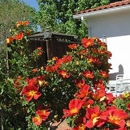 Casa Blanca Inn & Suites - Bed & Breakfast & Inns