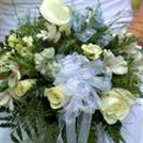 Crescent Gardens Floral Shoppe - Plants