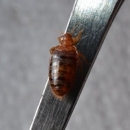 Brown Exterminating - Pest Control Services