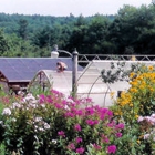 Amazing Flower Farm