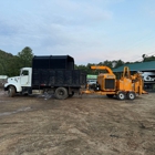 Affordable Tree Care